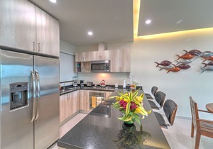 Modern Apt. at Nayri Life & Spa: Rooftop Terrace, Pool & Jacuzzi Steps to Beach! in Emiliano Zapata