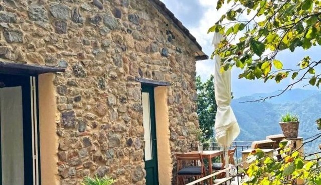 Green Valley House: Lavender in Liguria