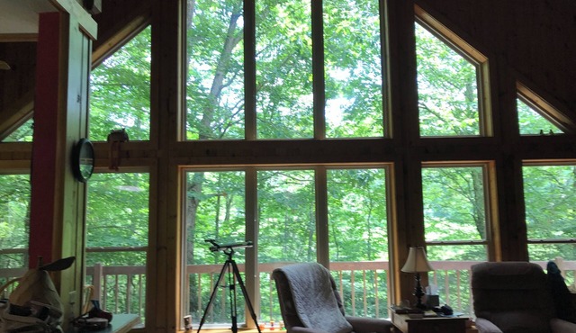 Hartford Hideaway! Soothing cabin in the Smokies. in Hartford