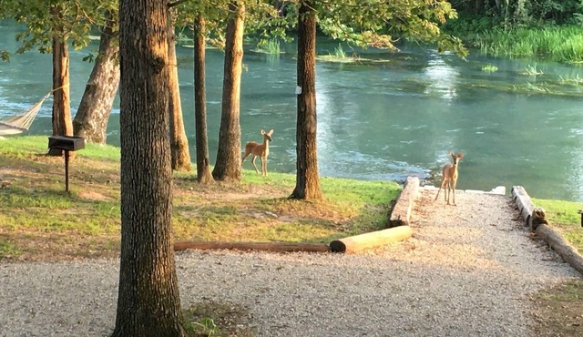 Mammoth Spring Retreat. Gated for privacy, Five cabins, one price. On the River in mammoth spring