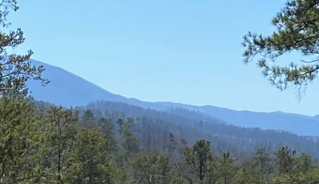 Mtn.View from Hottub, A+ Location 2 Mi to PF.Pkwy,Not up Mtn,Private,SUPERCLEAN in Sevierville