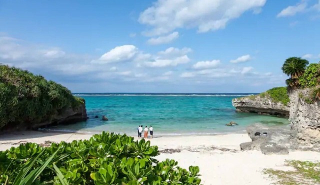 SAKURA 30 seconds to the sea One newly built Ry /Kunigami-gun Okinawa in Kunigami-gun