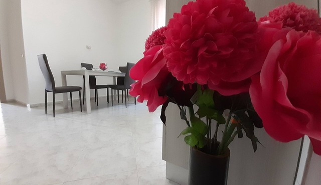 Stabia Vacanze apartment in the city center convenient and comfortable. in Castellammare di Stabia