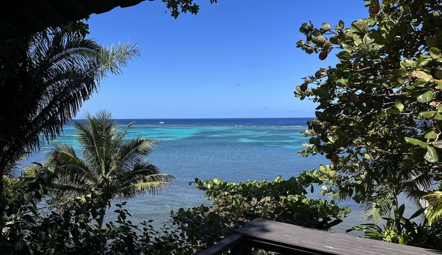 Stunning Temple Tree House, pool! Romantic Beach Getaway on 1 acre in West Bay